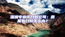 深圳專業滅白蟻公司：房屋有白蟻怎么辦？